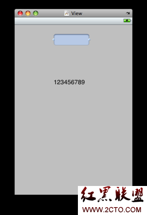 Text Field
