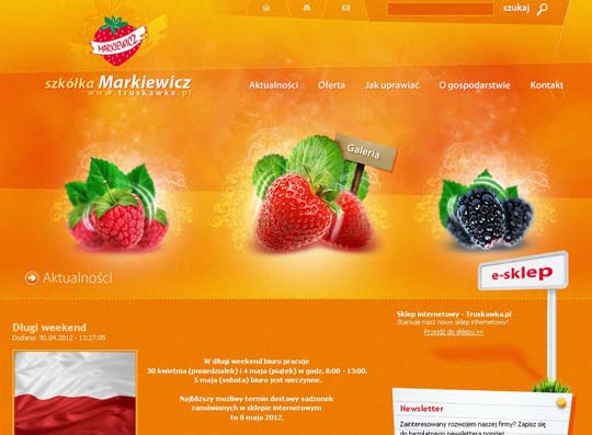orange color websites