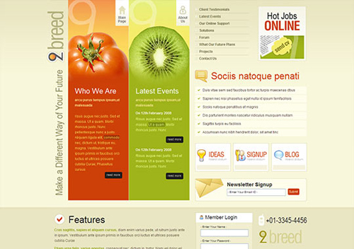 div-css-ģ