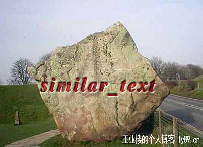 PHP计算两个字符的相似程度similar_text