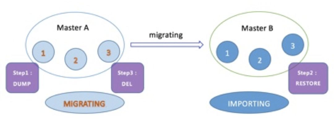 ȫ NoSQL ݿ Redis ĺļӦʵ