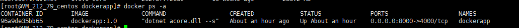 Docker  dotnetcore