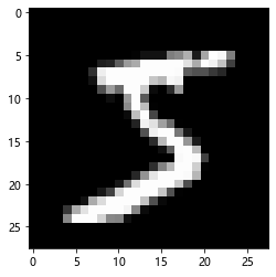 day08-----pytorch