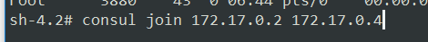 ϸ Windows ʹdocker  consul Ⱥ 棩