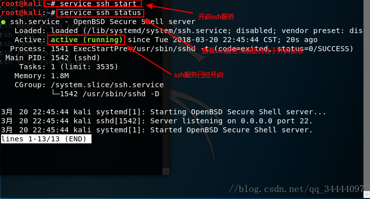 kali ssh服务的配置与开启以及使用xshell远程连接