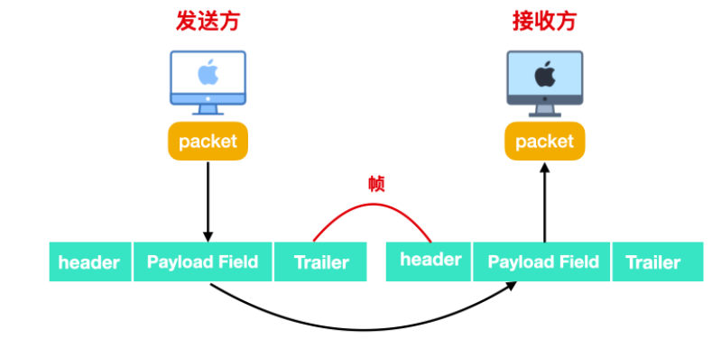 计算机网络 彻底搞懂链路层