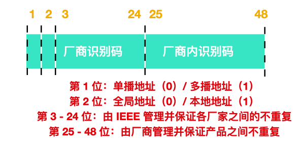 计算机网络 彻底搞懂链路层