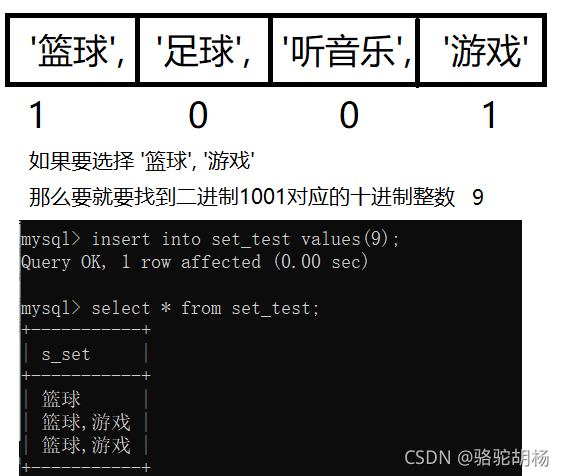 MySQLͶ - ENUM SET