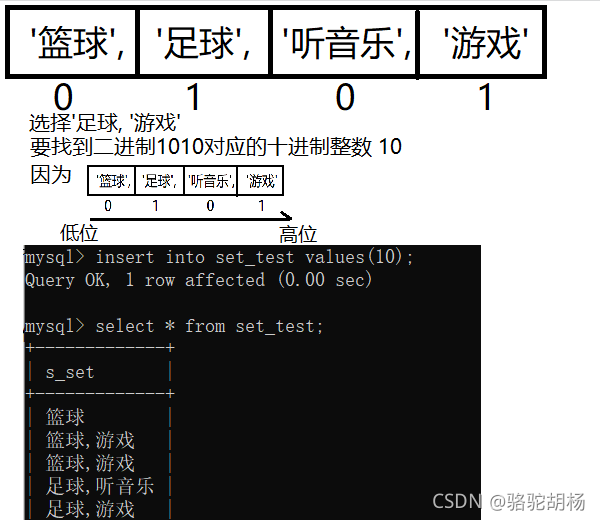 MySQLͶ - ENUM SET