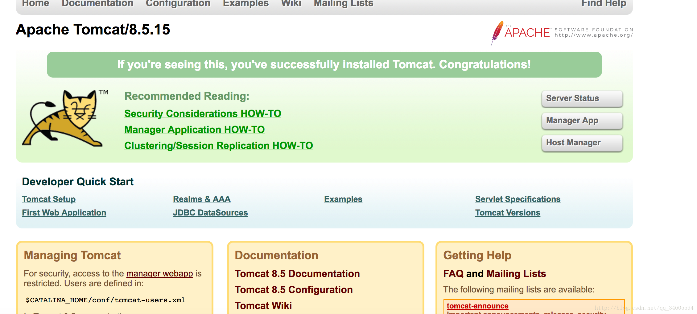 tomcat8 hostmanager