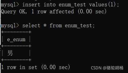 MySQLͶ - ENUM SET