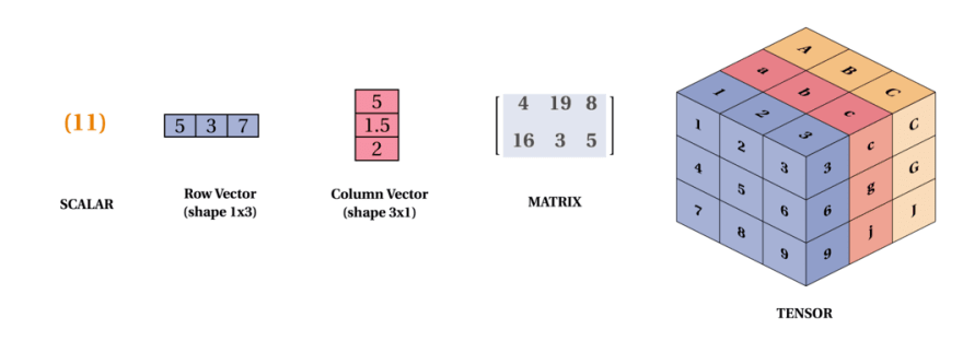 Scalar, Vector, Matrix, Tensor, Array ɵɵֲƪӻף