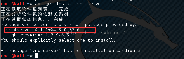 kali linux 2.0 ʵvncԶ