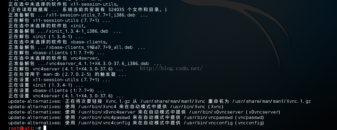 kali linux 2.0 ʵvncԶ