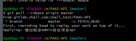 gitlabgit push origin mastererror: failed to push some refs to 'git@gitlab.*****