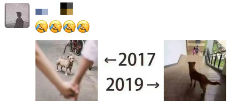 ΪʲôȦ 2017-2019 