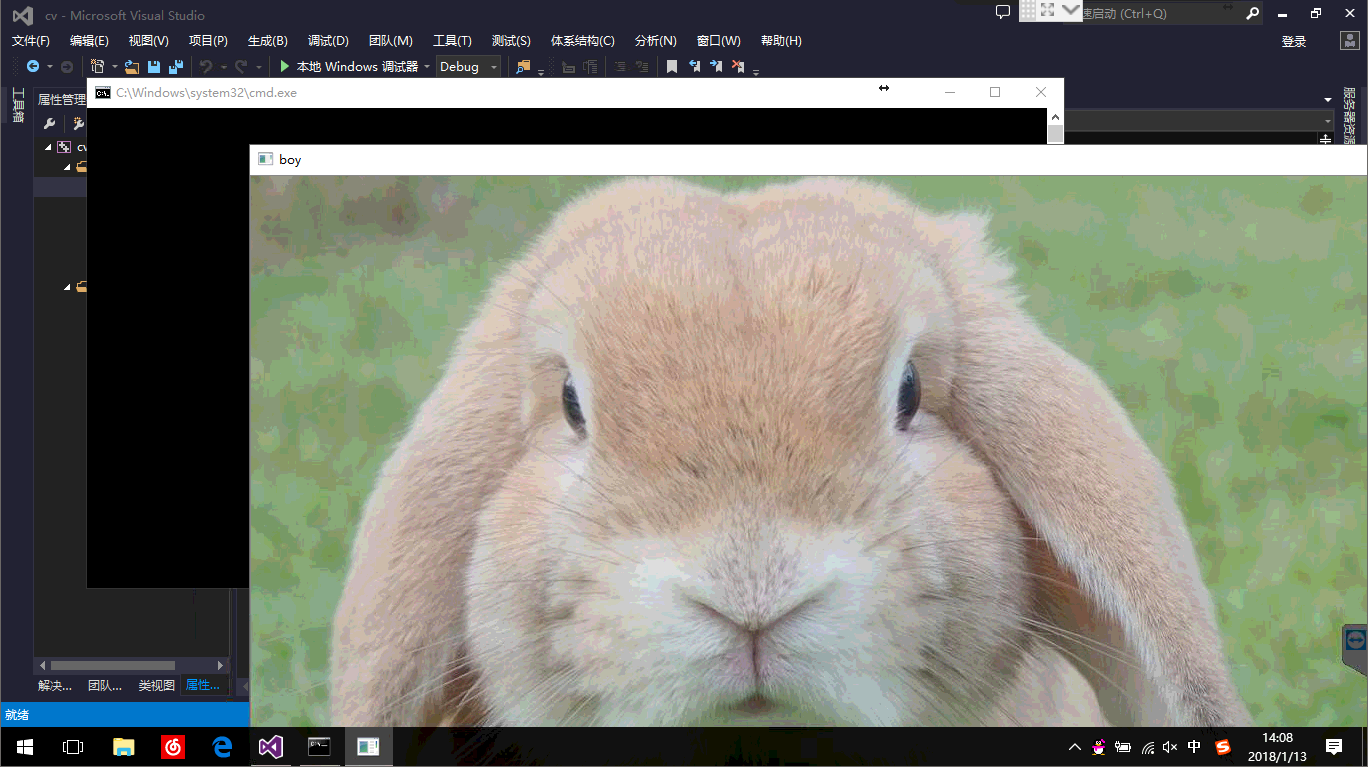 VS2013 + OpenCV 2.4.13 配置