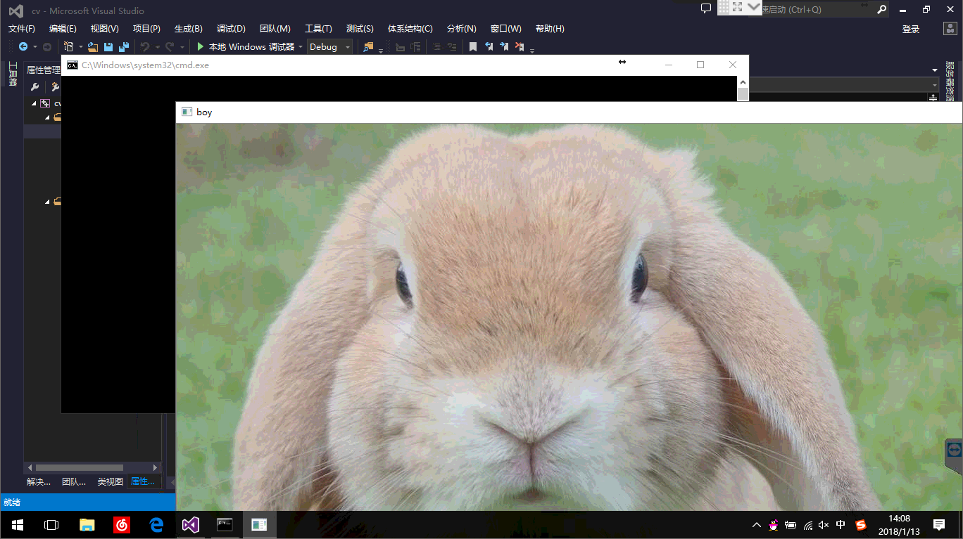 VS2013 + OpenCV 2.4.13 