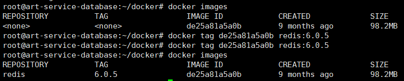 linux ߰װ docker mysql redis mongo