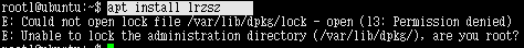 linux ubuntu xshell 拖拽文件