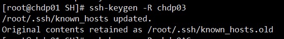 RSA host key for chdp03 has changed and you have requested strict checking.