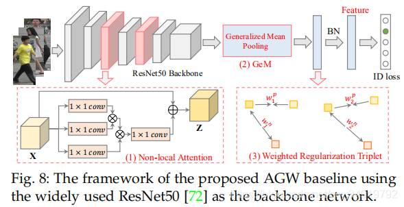 ReIDĸɼTrickȡ磨Backbone