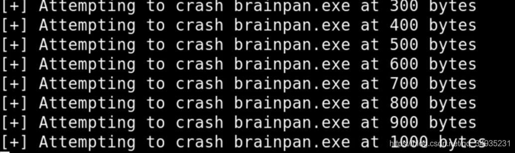 OSCP Brainpan л͸