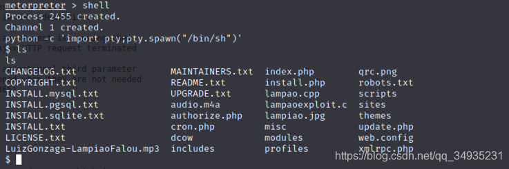 OSCP Lampiao л͸