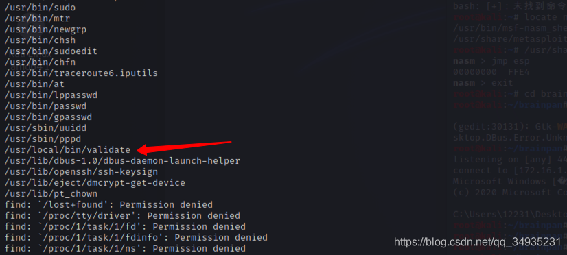 OSCP Brainpan л͸